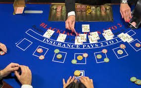 ক্রিকেট ও ফুটবল স্পোর্টস গাইড jillivo প্ল্যাটফর্মে বাংলাদেশ